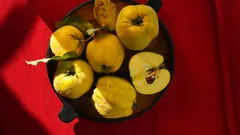 Žluté zralé kdoule s listy na červeném pozadí