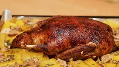 Pečené kuře s bramborami a houbami na bílém talíři